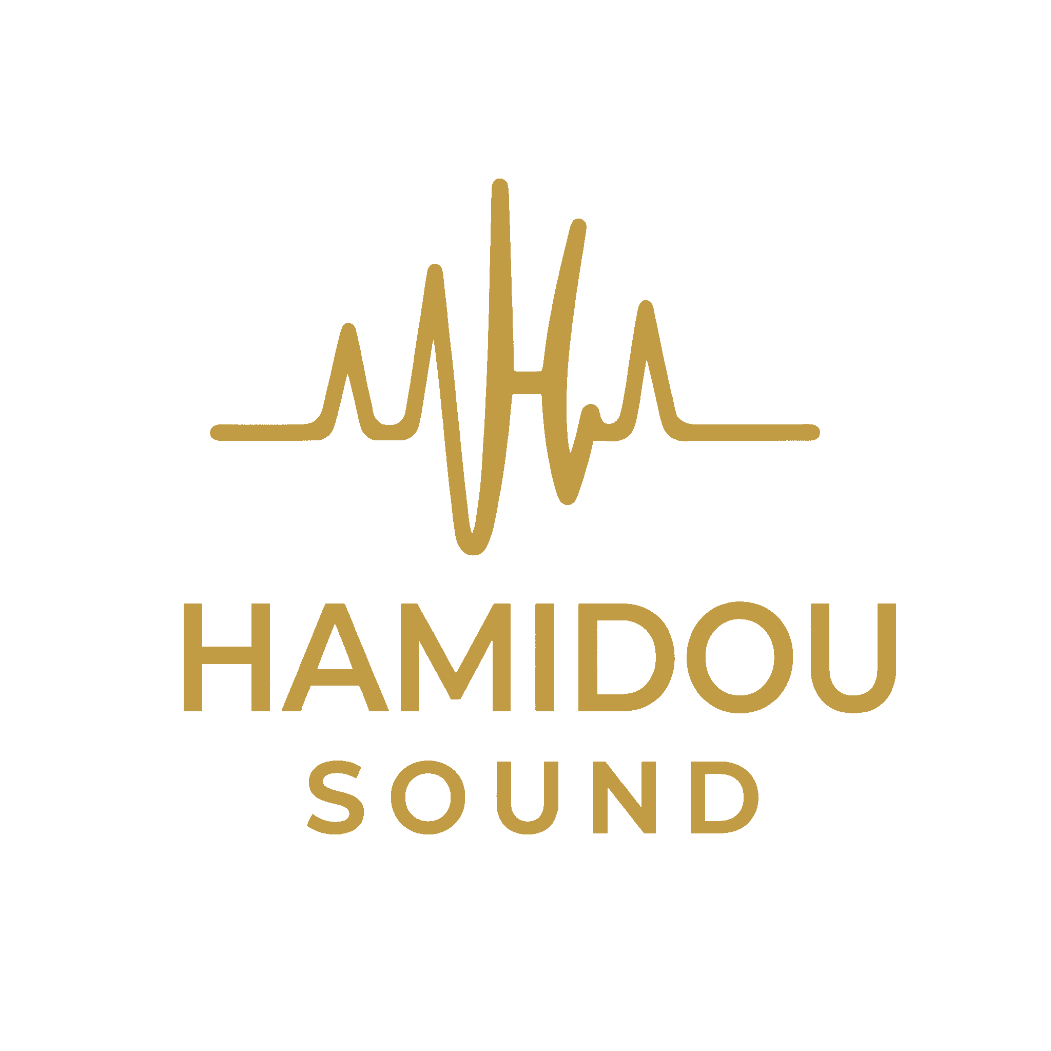Hamidou Sound – PA & Live-Mix